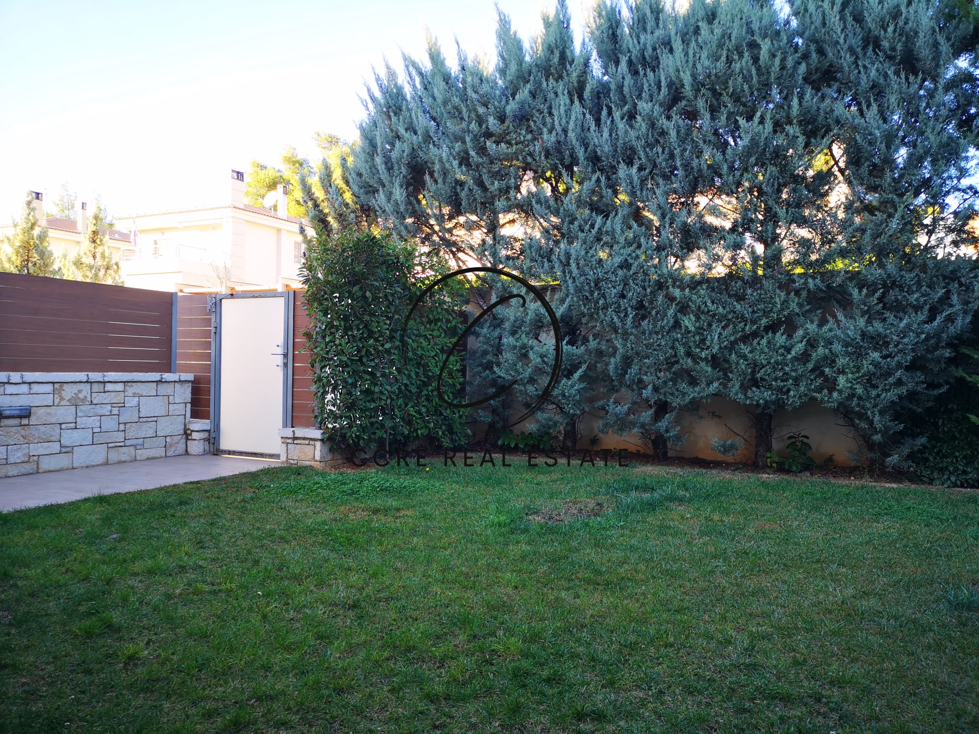 Gallery image 8