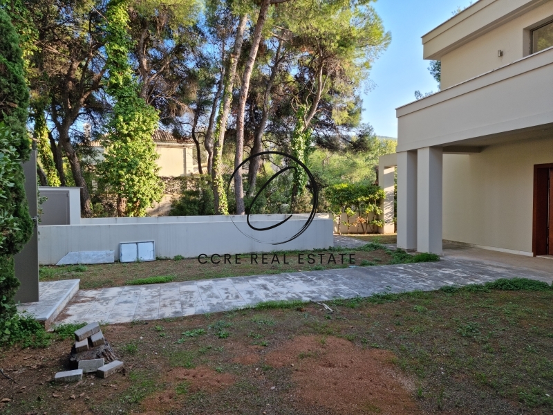 Gallery image 11