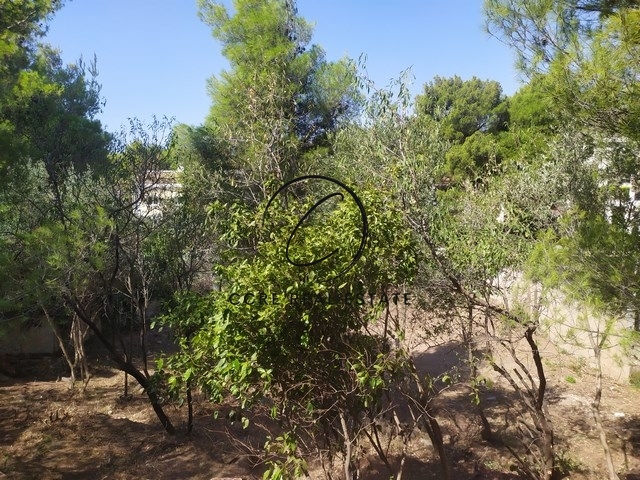 Gallery image 7