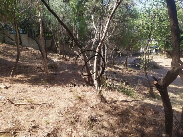 Gallery image 9