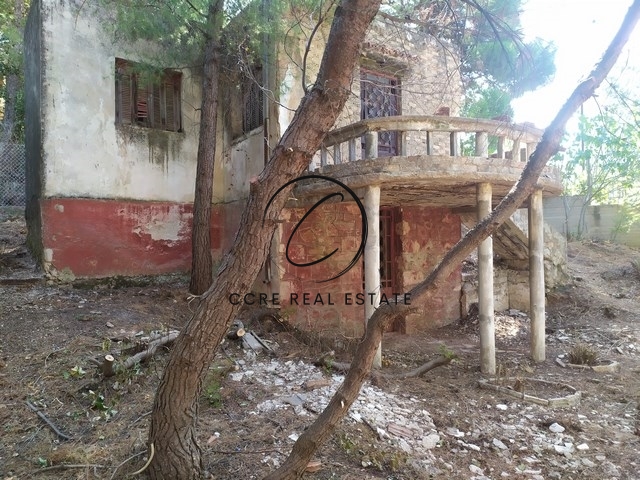 Gallery image 10