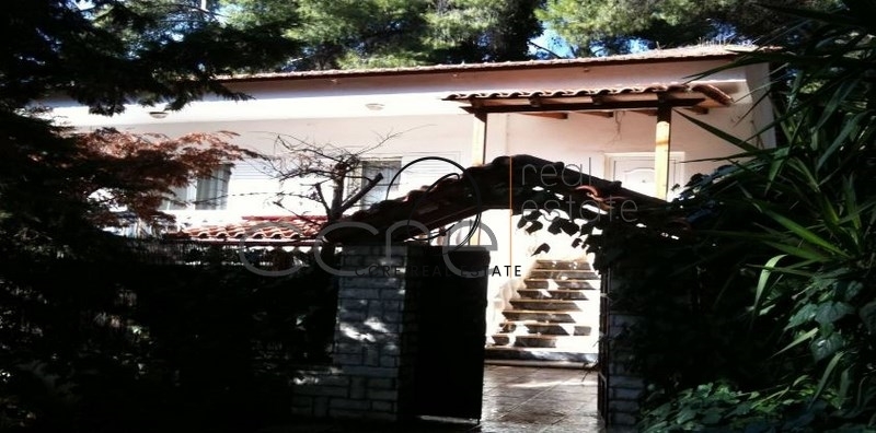 Gallery image 11