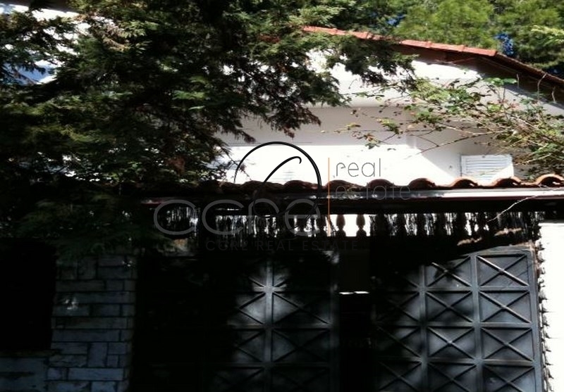 Gallery image 20
