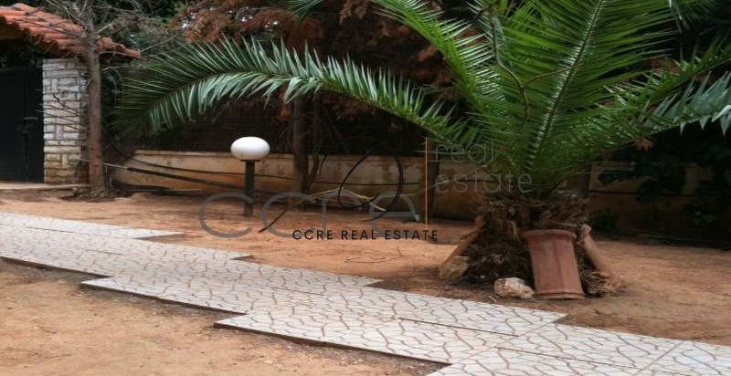 Gallery image 10