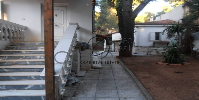 Gallery image 13