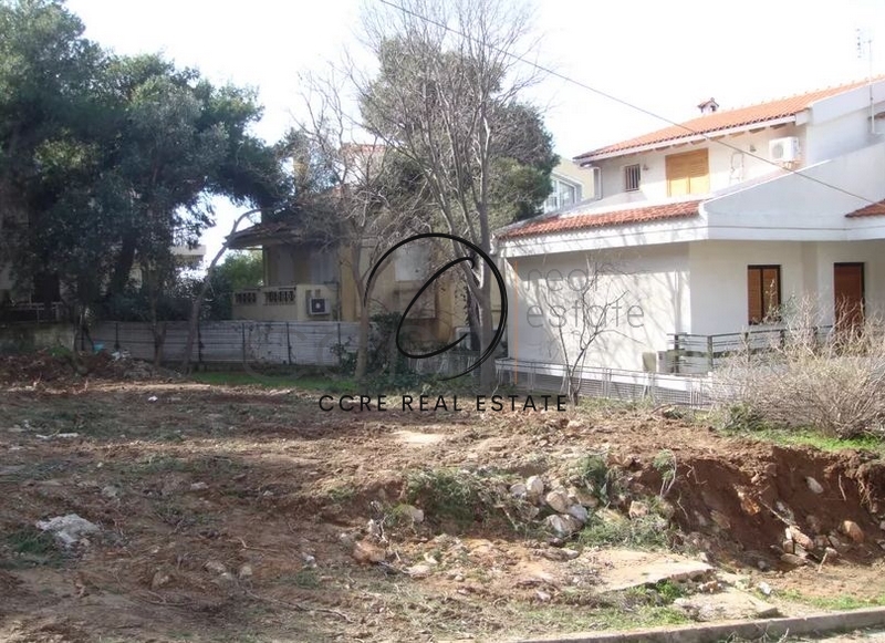 Gallery image 6