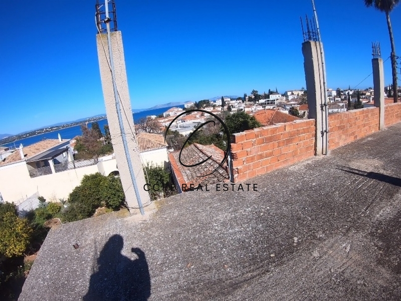 Gallery image 25