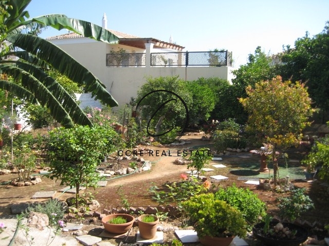 Gallery image 7