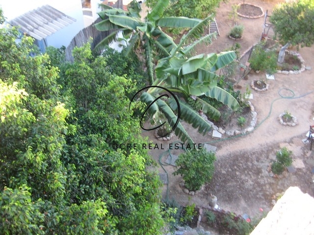 Gallery image 8