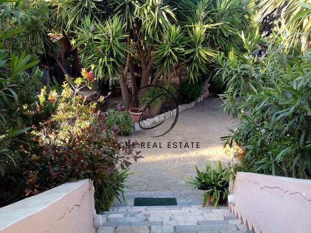 Gallery image 6