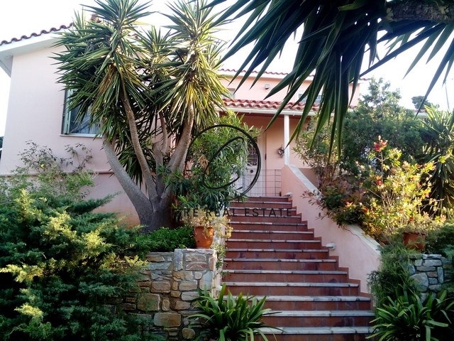 Gallery image 11
