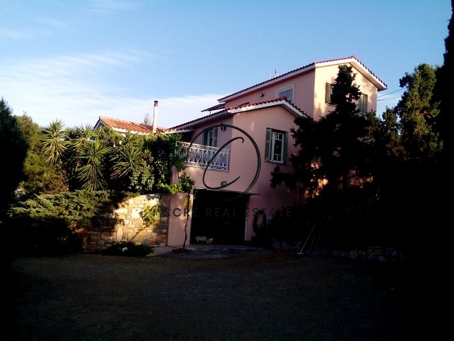 Gallery image 5
