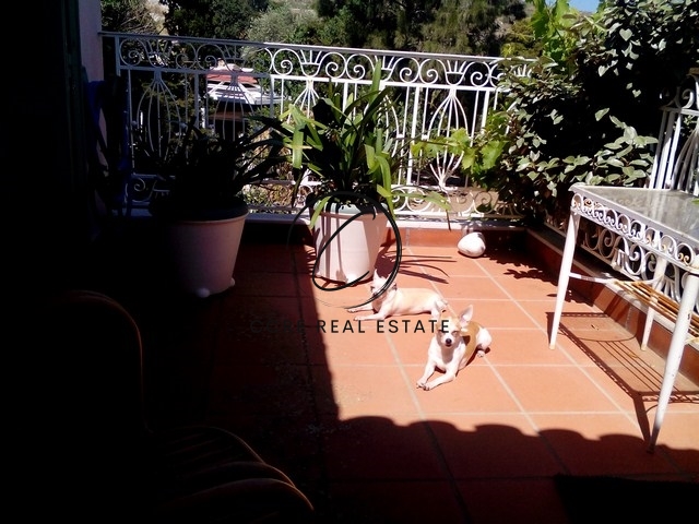 Gallery image 10