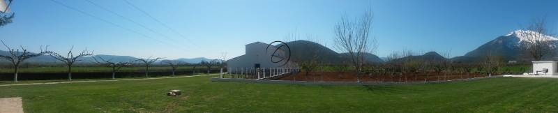 Gallery image 12