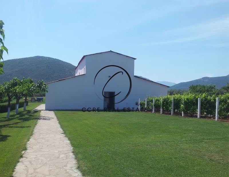 Gallery image 14