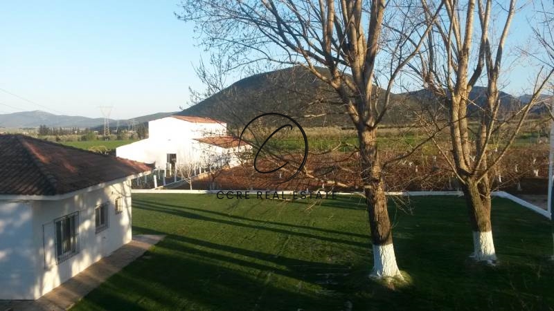 Gallery image 21