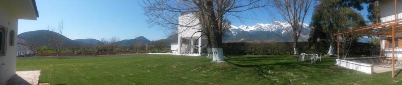 Gallery image 10