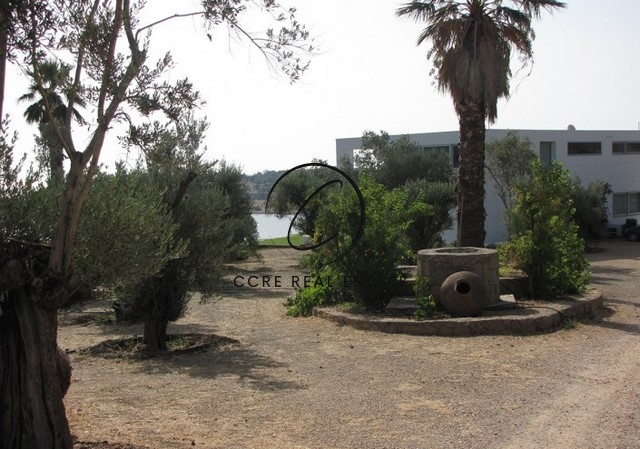 Gallery image 6