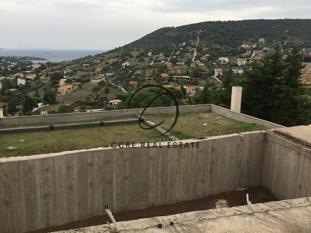 Gallery image 15