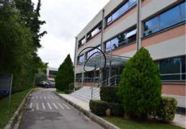 Gallery image 19