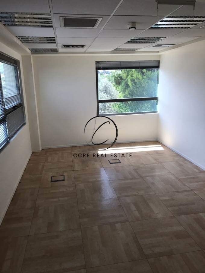 Gallery image 13
