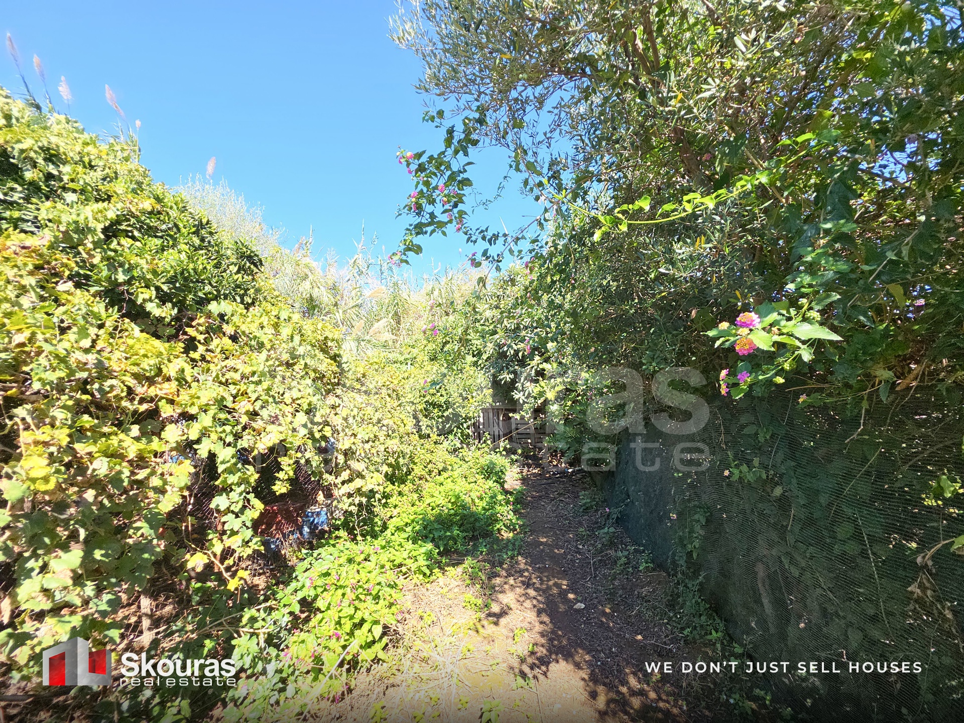 Gallery image 25