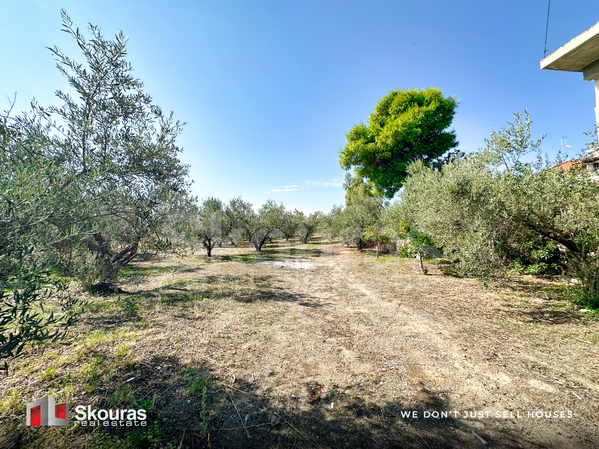 Gallery image 17