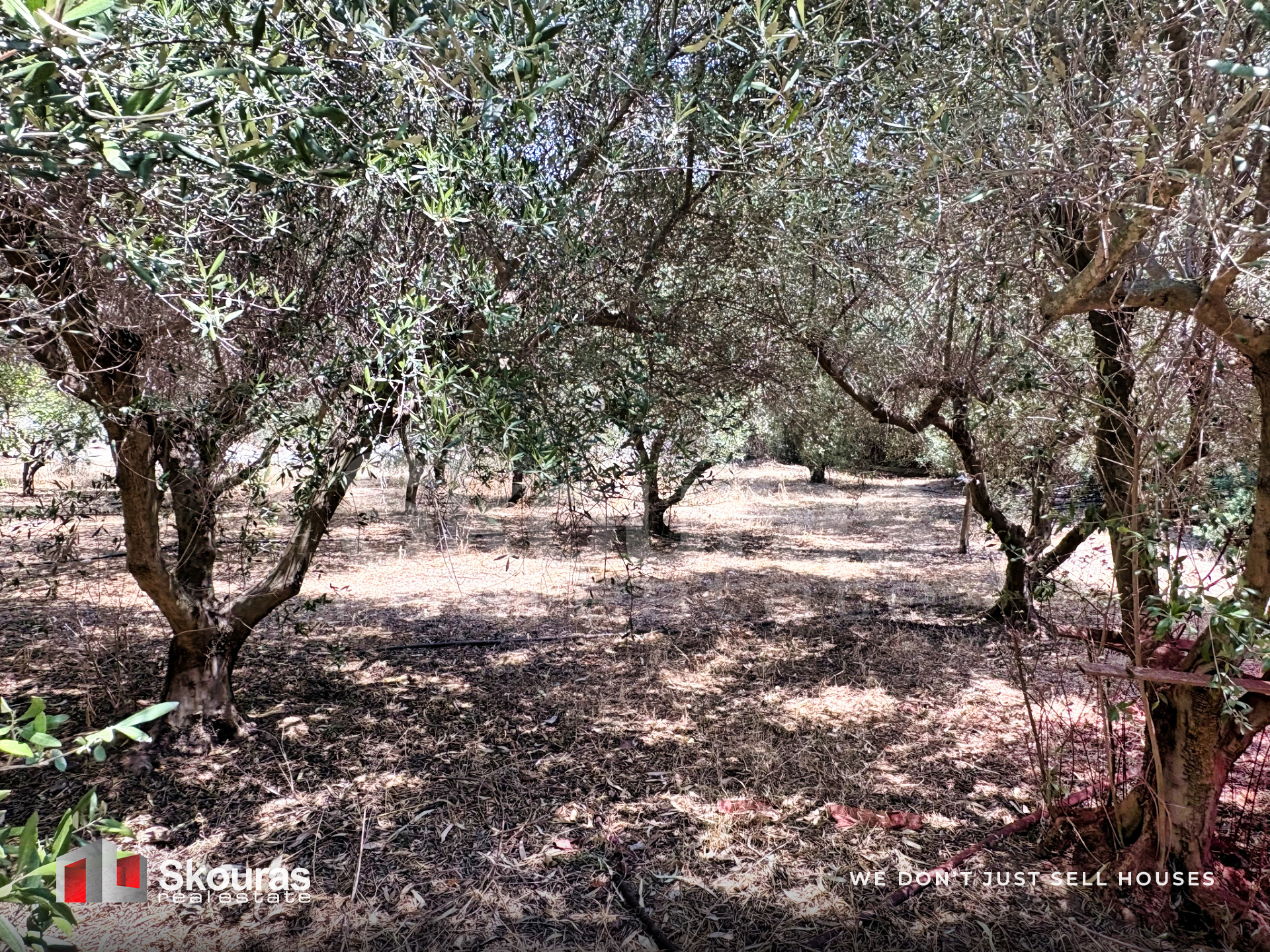 Gallery image 27