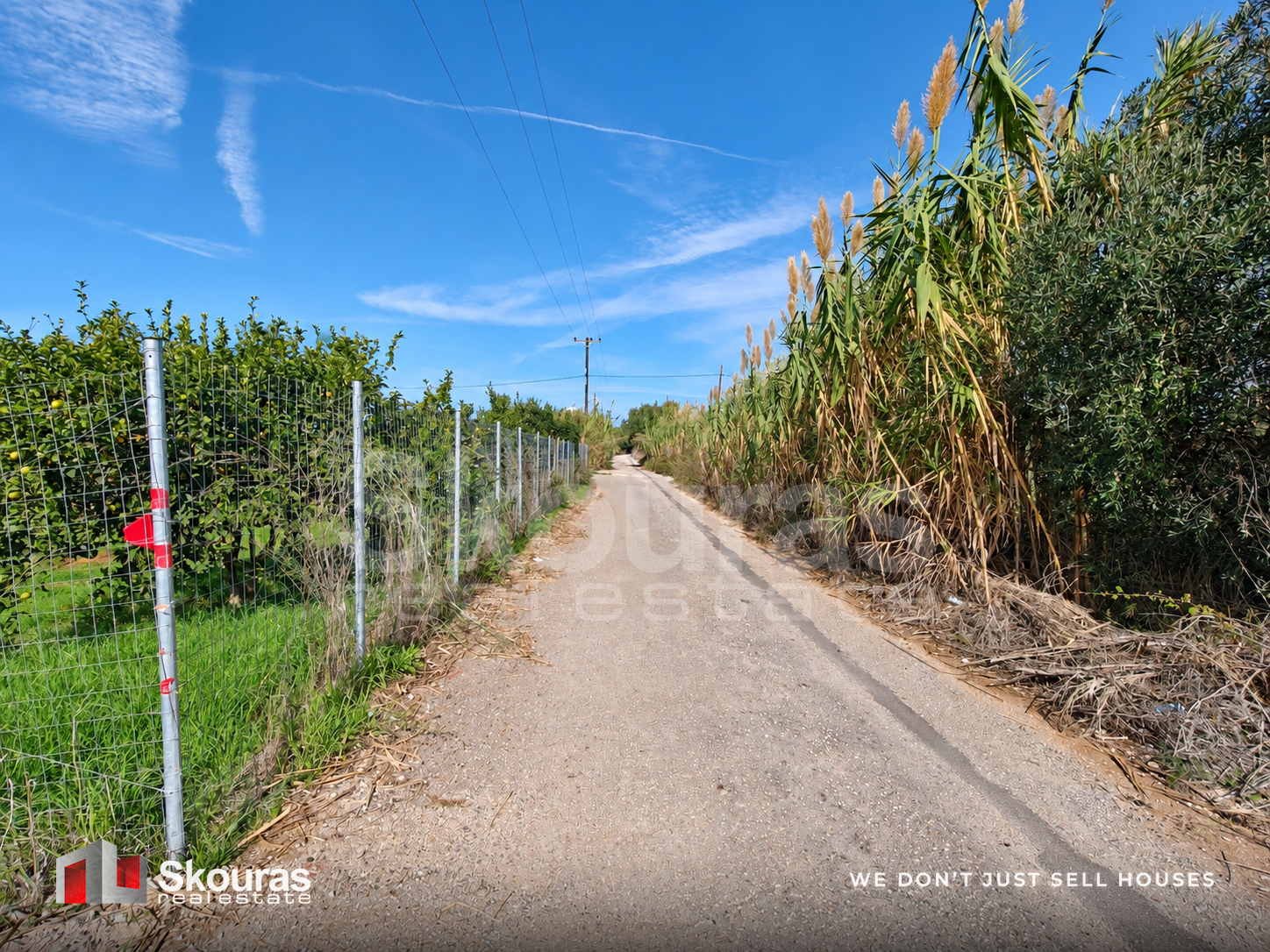 Gallery image 14