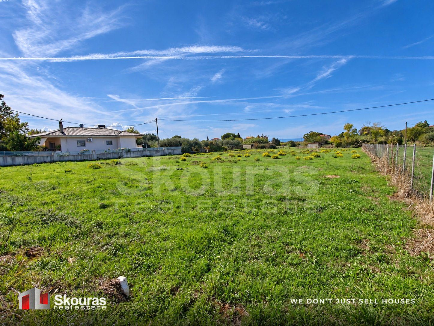 Gallery image 12