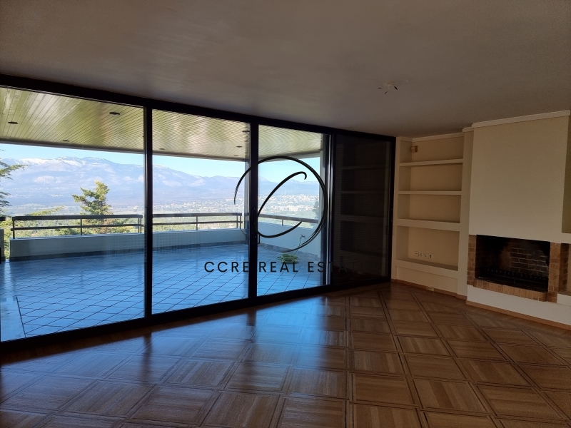 Gallery image 8