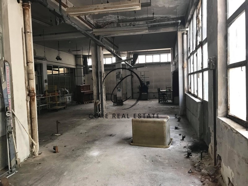Gallery image 10