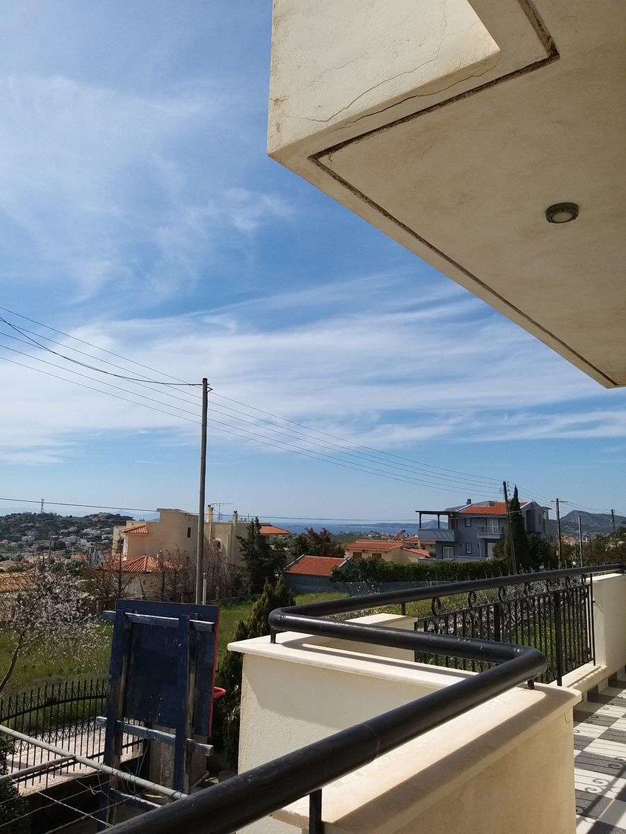 Gallery image 11