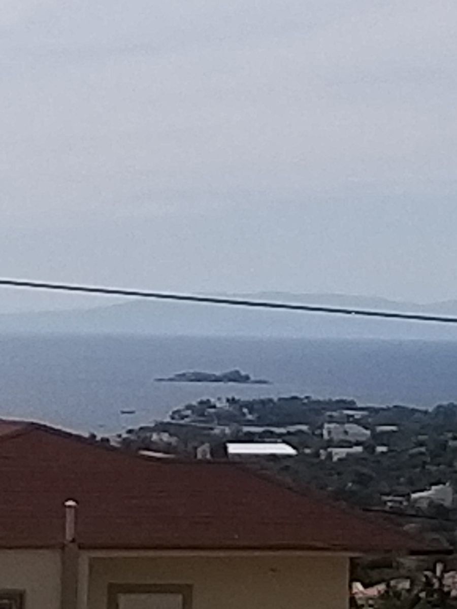 Gallery image 13