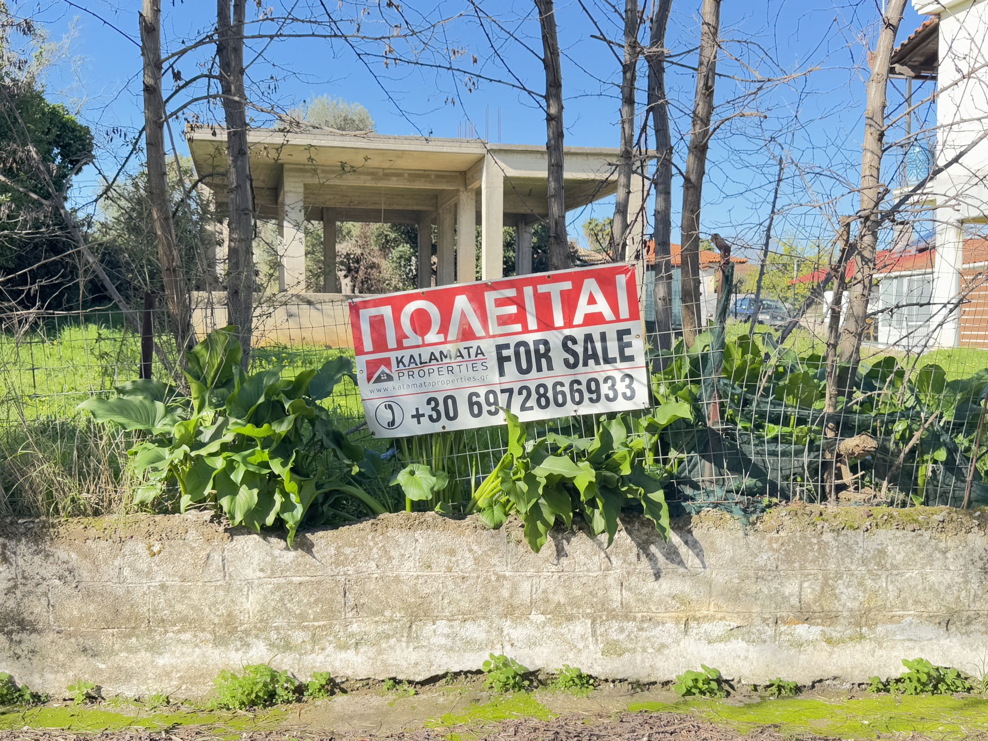 Gallery image 1