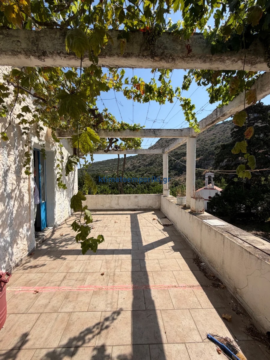 Gallery image 1