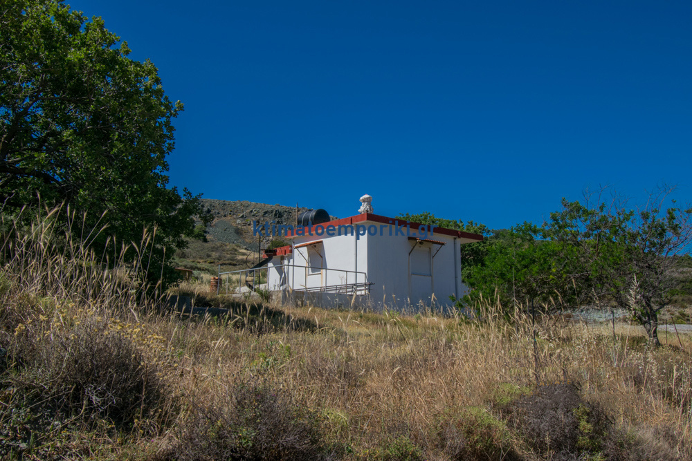Gallery image 1