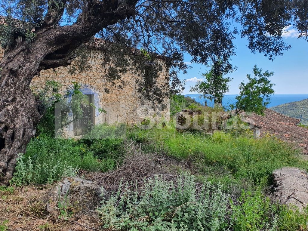 Gallery image 1