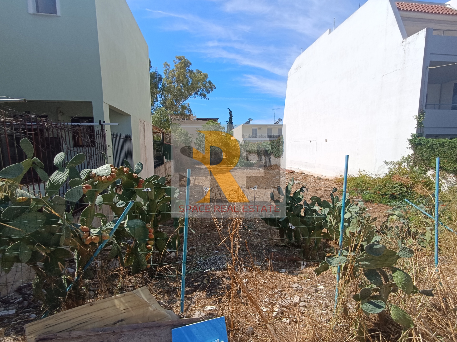 Gallery image 1