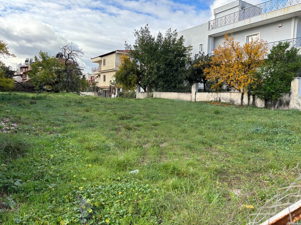 Gallery image 1