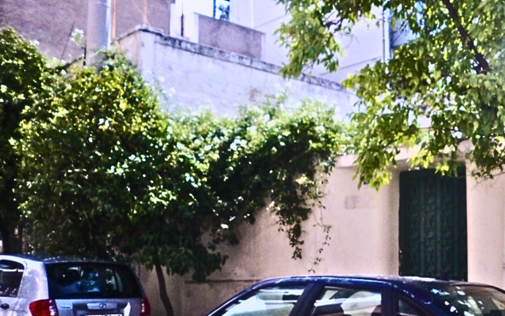 Gallery image 1