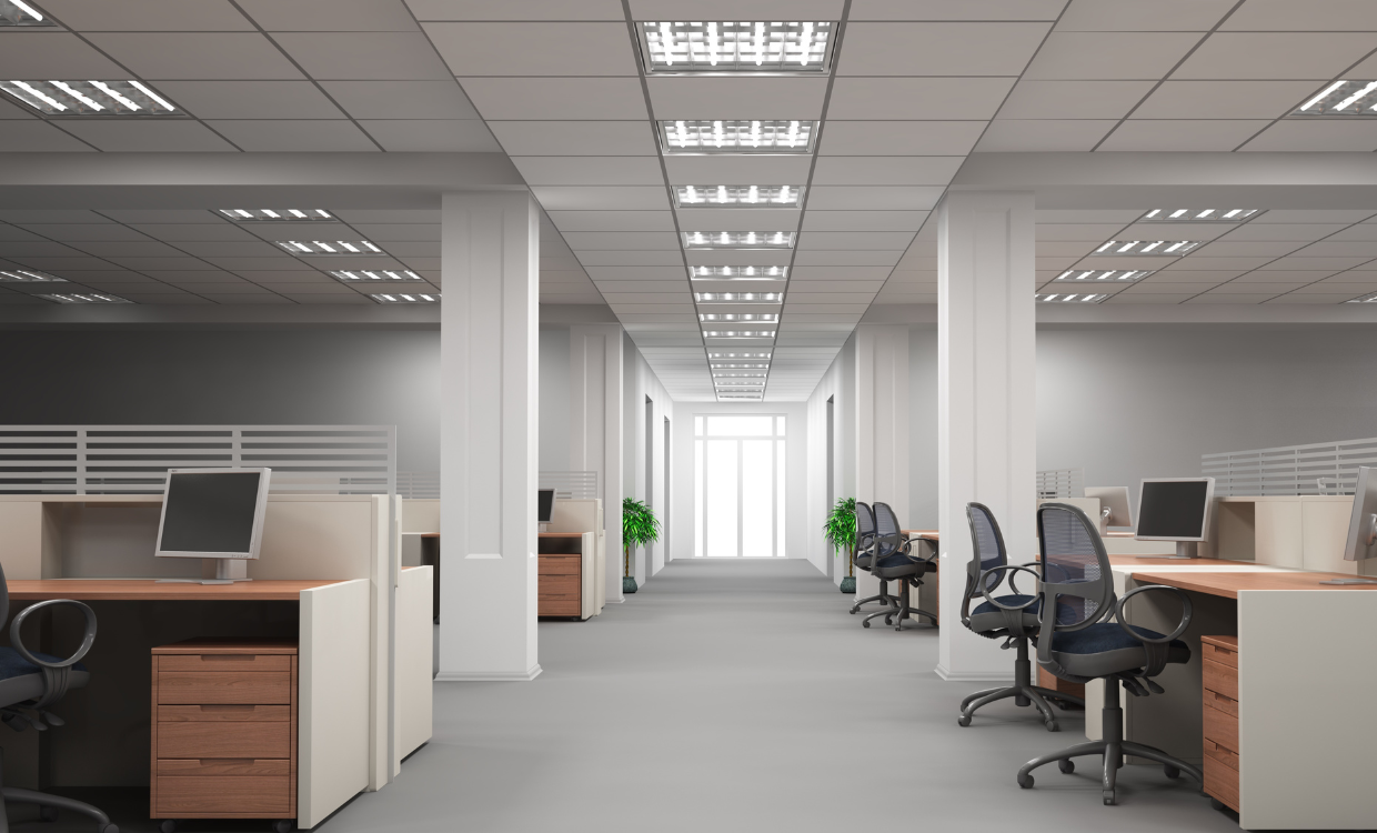 Gallery image 1