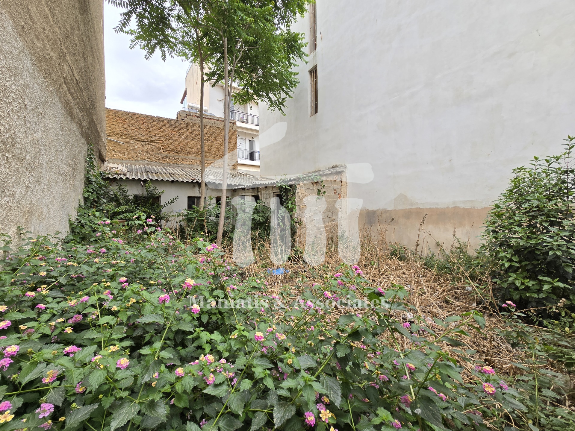 Gallery image 1