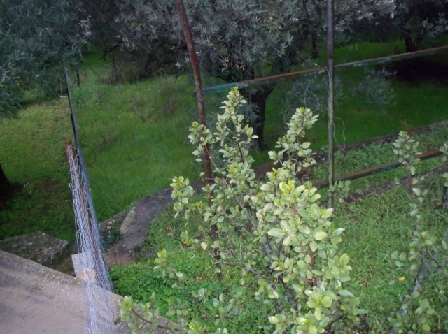 Gallery image 1