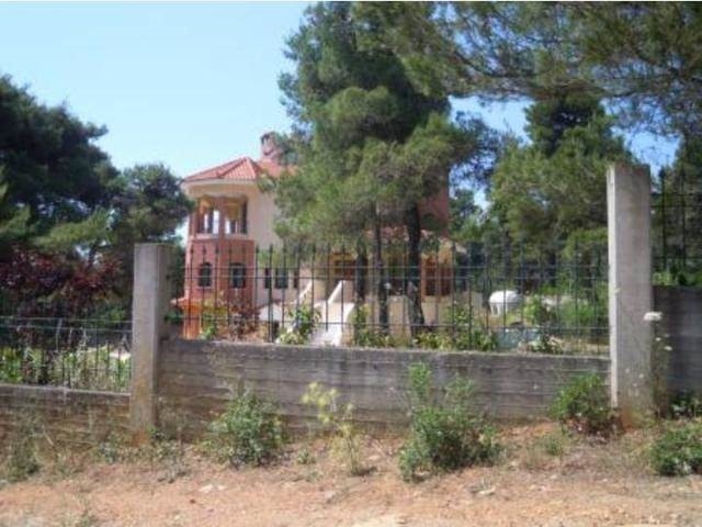 Gallery image 1