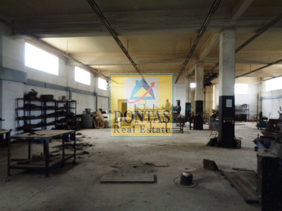 Gallery image 1