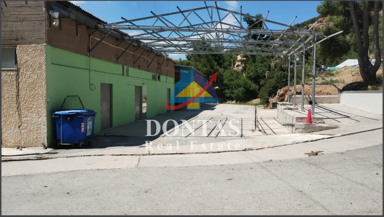 Gallery image 1