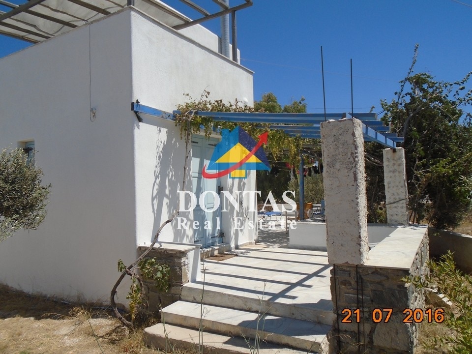 Gallery image 1
