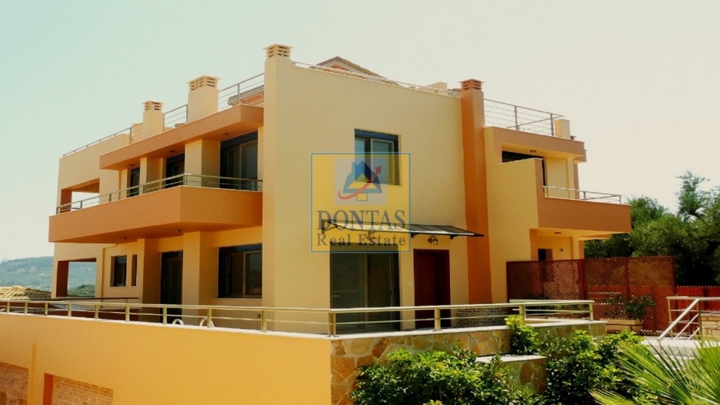 Gallery image 1