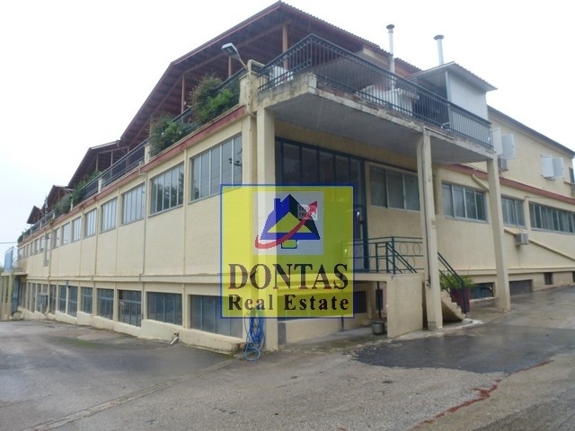 Gallery image 1